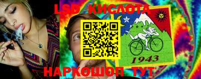 ешки Абакан