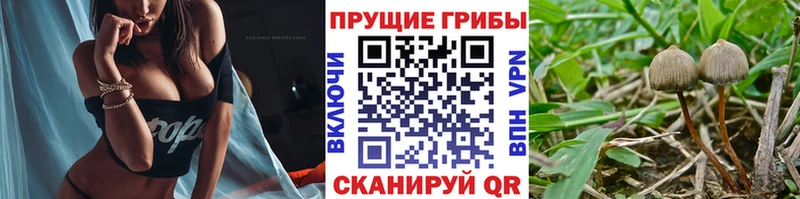 купить наркоту Альметьевск Псилоцибиновые грибы мухоморы