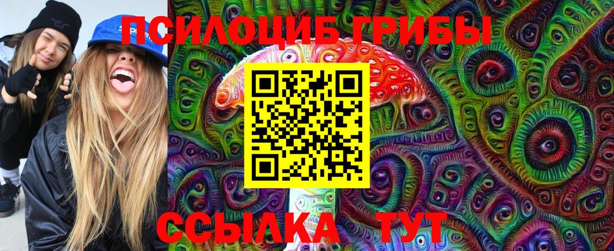 Галлюциногенные грибы Psilocybine cubensis  Псилоцибиновые грибы мухоморы  Альметьевск  Вход с VPN 