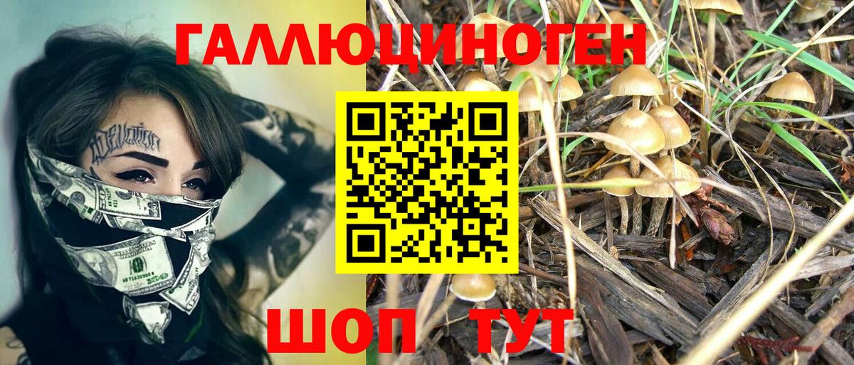 Псилоцибиновые грибы ЛСД Альметьевск