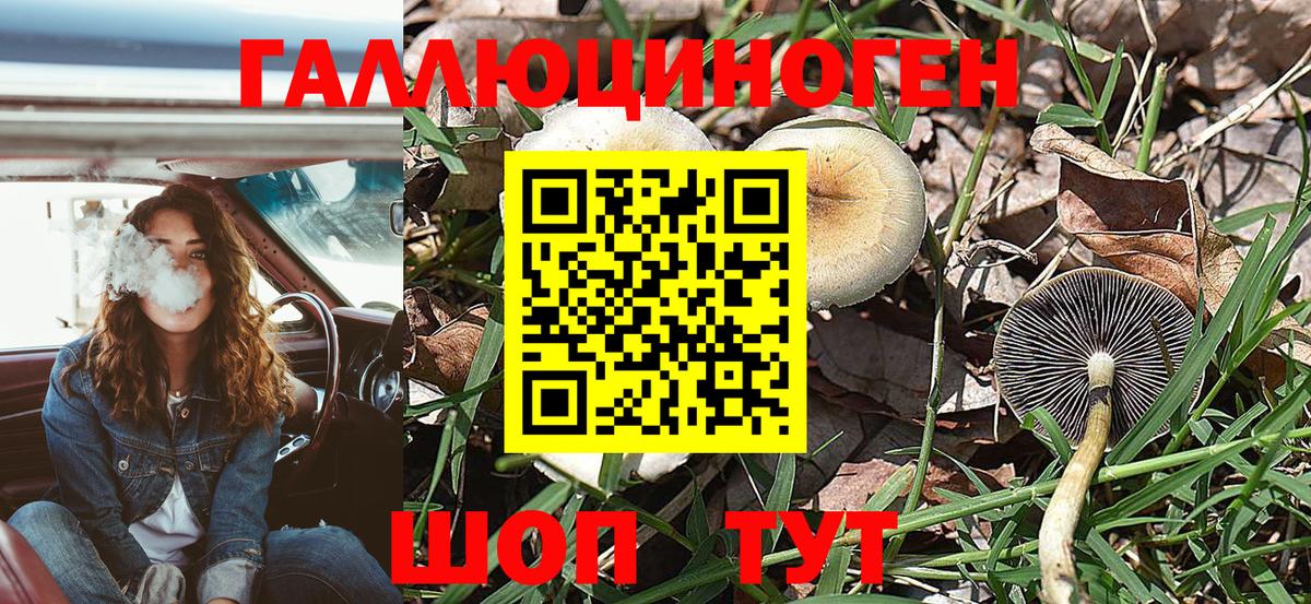 Галлюциногенные грибы мухоморы  Галлюциногенные грибы Psilocybine cubensis  Альметьевск 