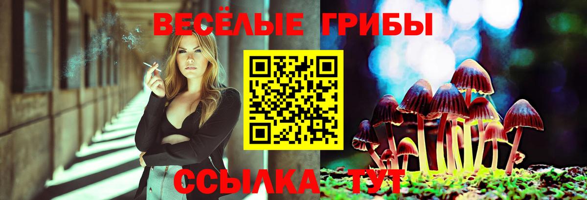 Галлюциногенные грибы мухоморы Альметьевск